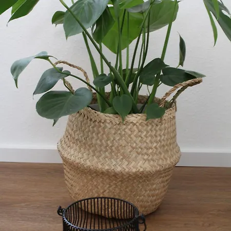 Apartmán Greuel *