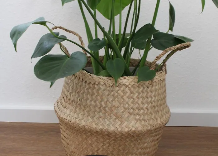 Appartamento Greuel *